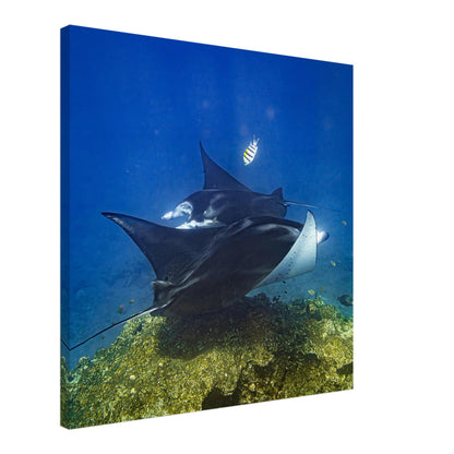 11c447f3-ea2c-44f5-8852-838a837afee7