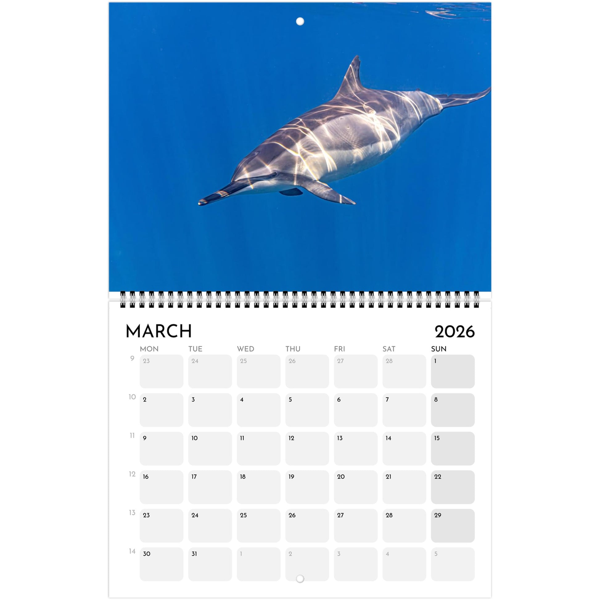 128d7cff-fe93-4c05-8381-1ed475b10389