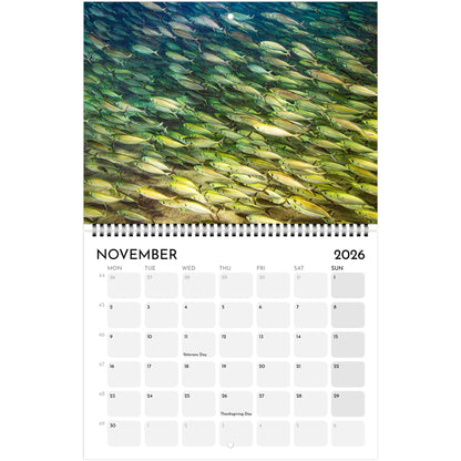 12f43963-128f-4e6b-9d14-030f679d3111