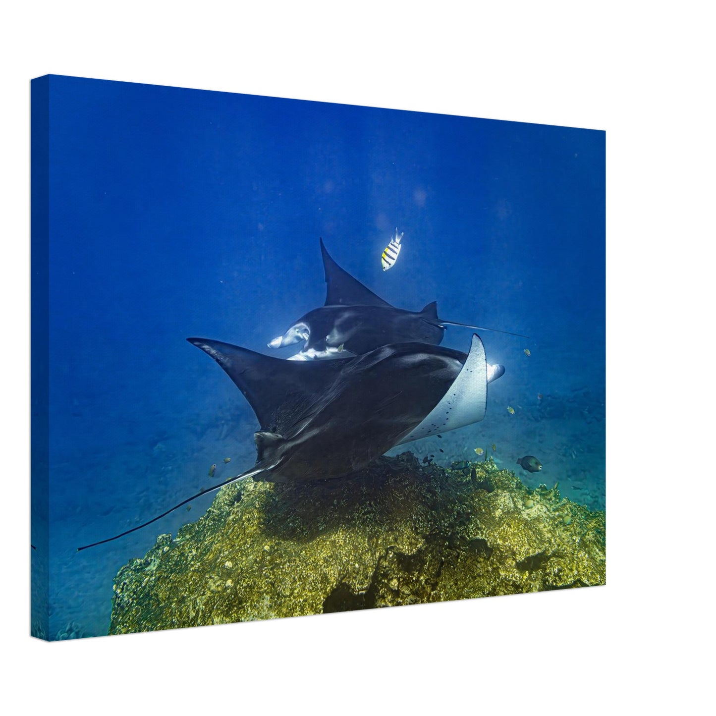 13709408-50a6-4a5c-a607-855589c56d12