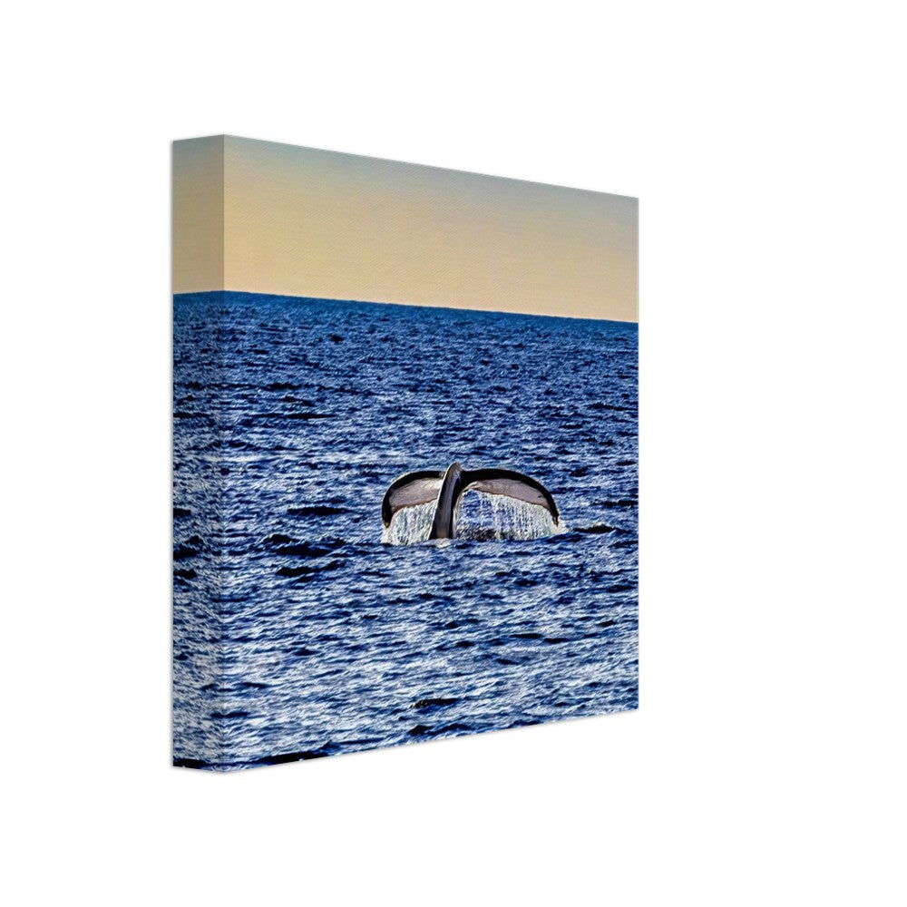 162513a8-037e-441d-9d8d-e11f47843aef