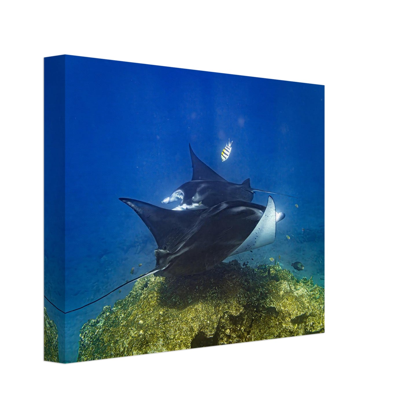 163a3513-3b6f-4f50-b81f-c1db08107ced