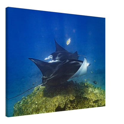 167568eb-f8d3-496b-bdc0-6839ce7e6e6e