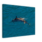 16afdf47-588d-467e-ba65-2cdb739380f2