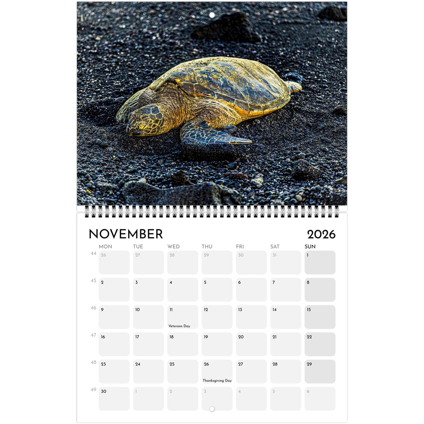 16bb7915-967d-40ad-8da0-71767c17642f