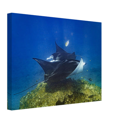 19f97d1f-8df2-4eba-a9b2-01c8a0085c61