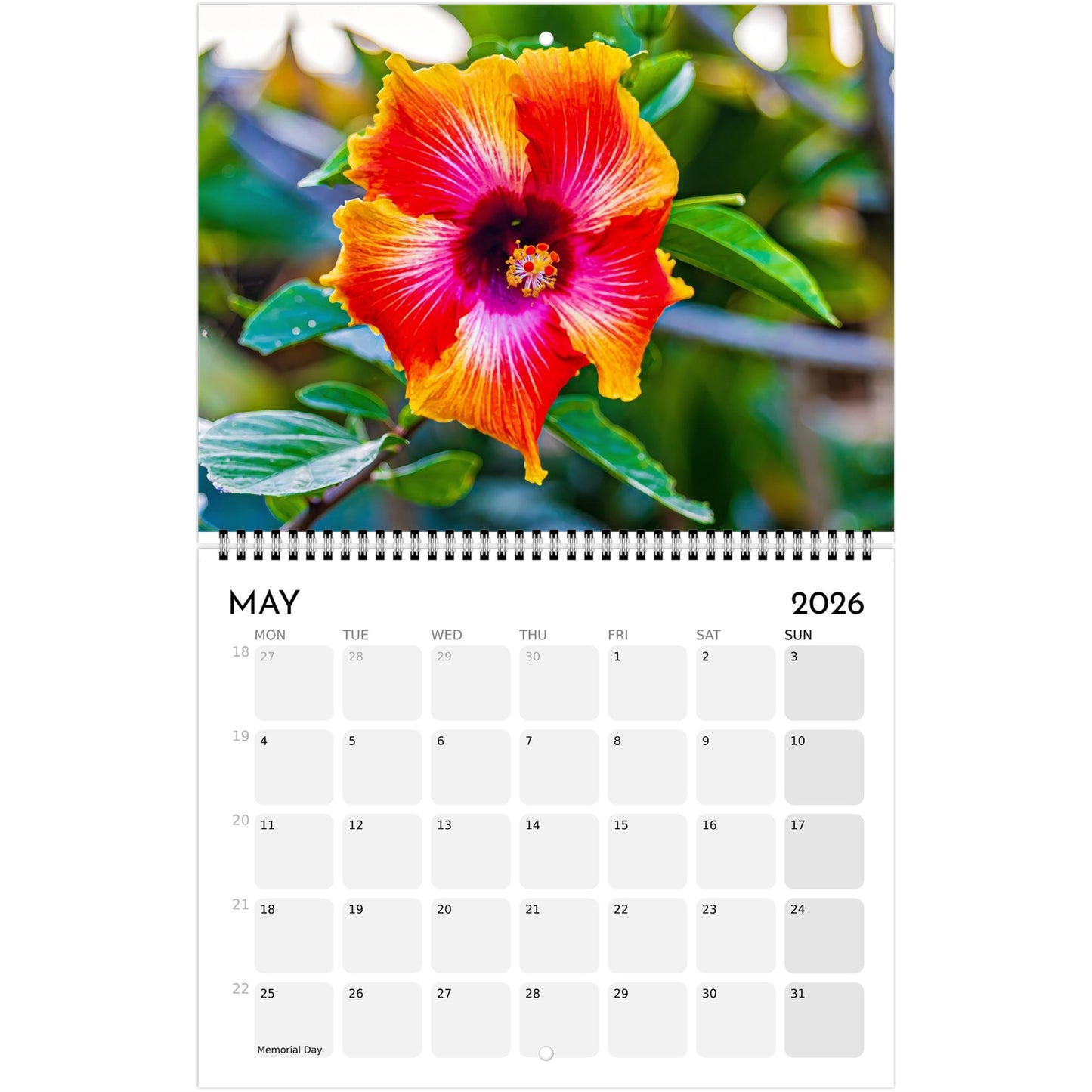 1c593b59-4ec2-4d56-8f7d-f7fa6a58f314