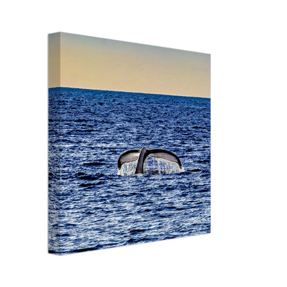 1c5bbc93-acbb-4e56-b68f-40a3645852e7