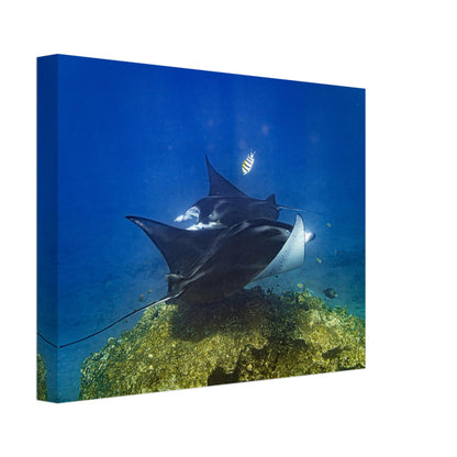 1e8a11b5-5167-4117-a37d-fe1db52657fa