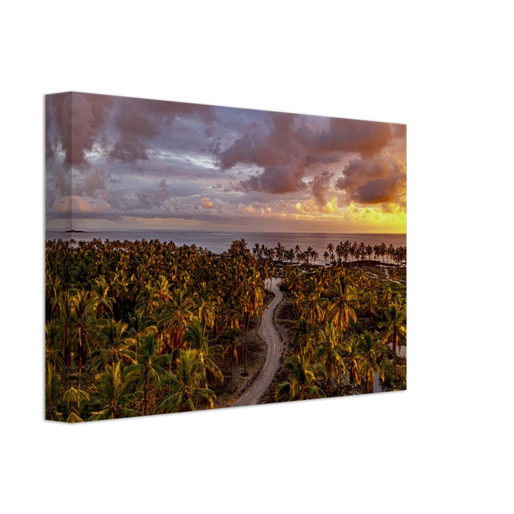 1ec5f0b3-f1ff-4754-84bb-2658686542ef