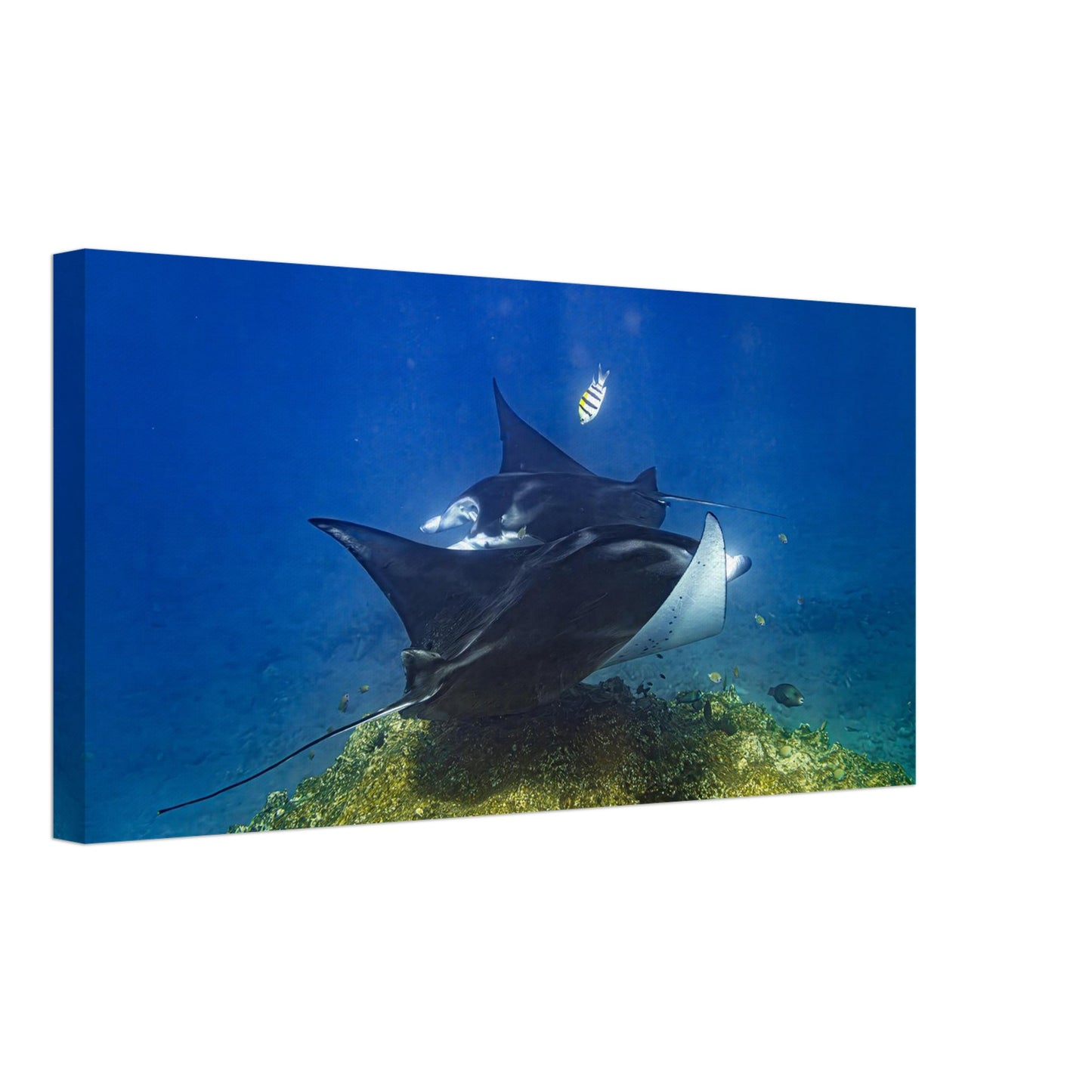 1efbbe9f-bce1-4b36-bb17-74b0d4ccce09