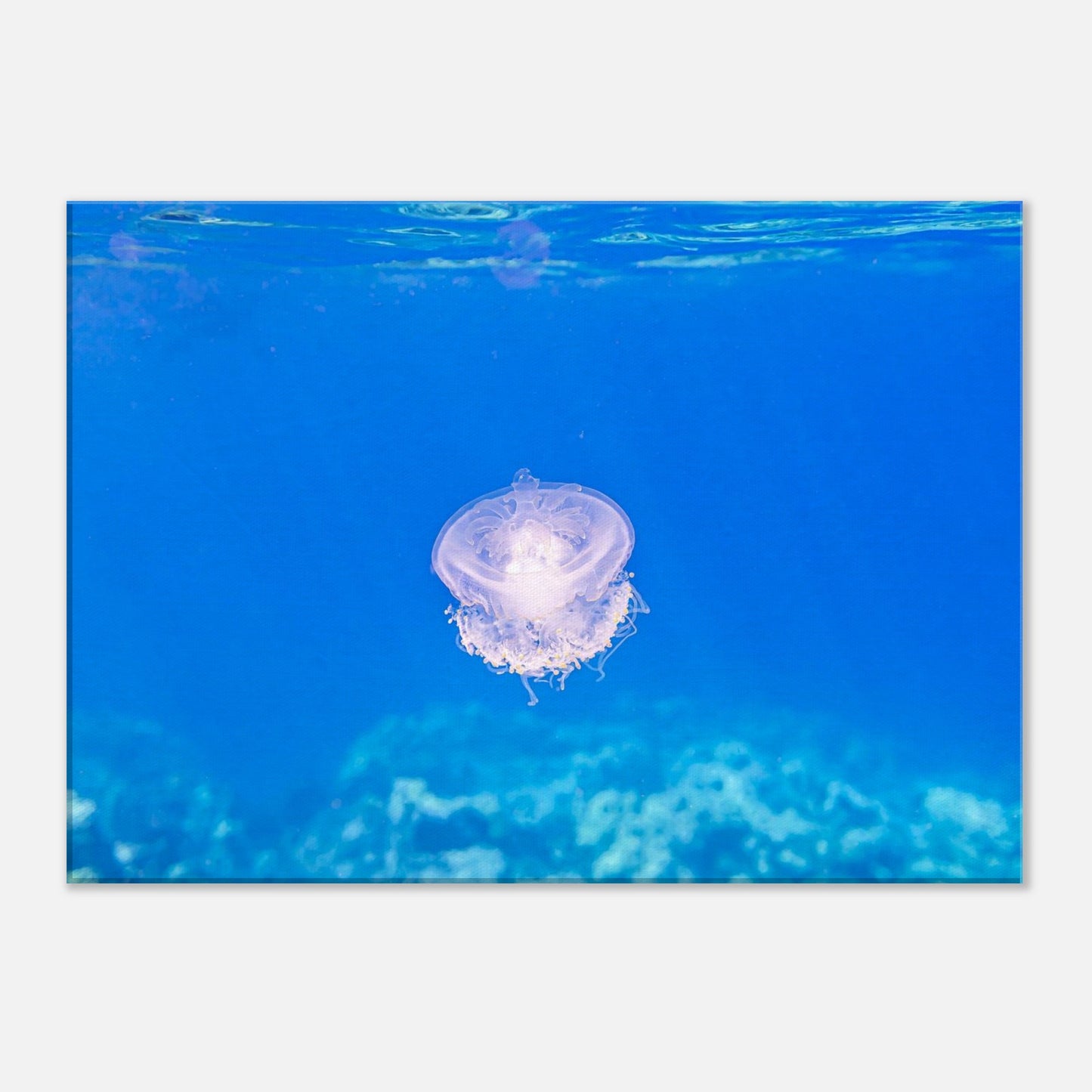 20cf48f6-87d6-40b4-86cf-ce511e5bf7c3