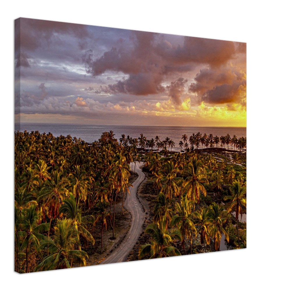 211771a9-de8a-44e6-93c6-79d4fac221d6