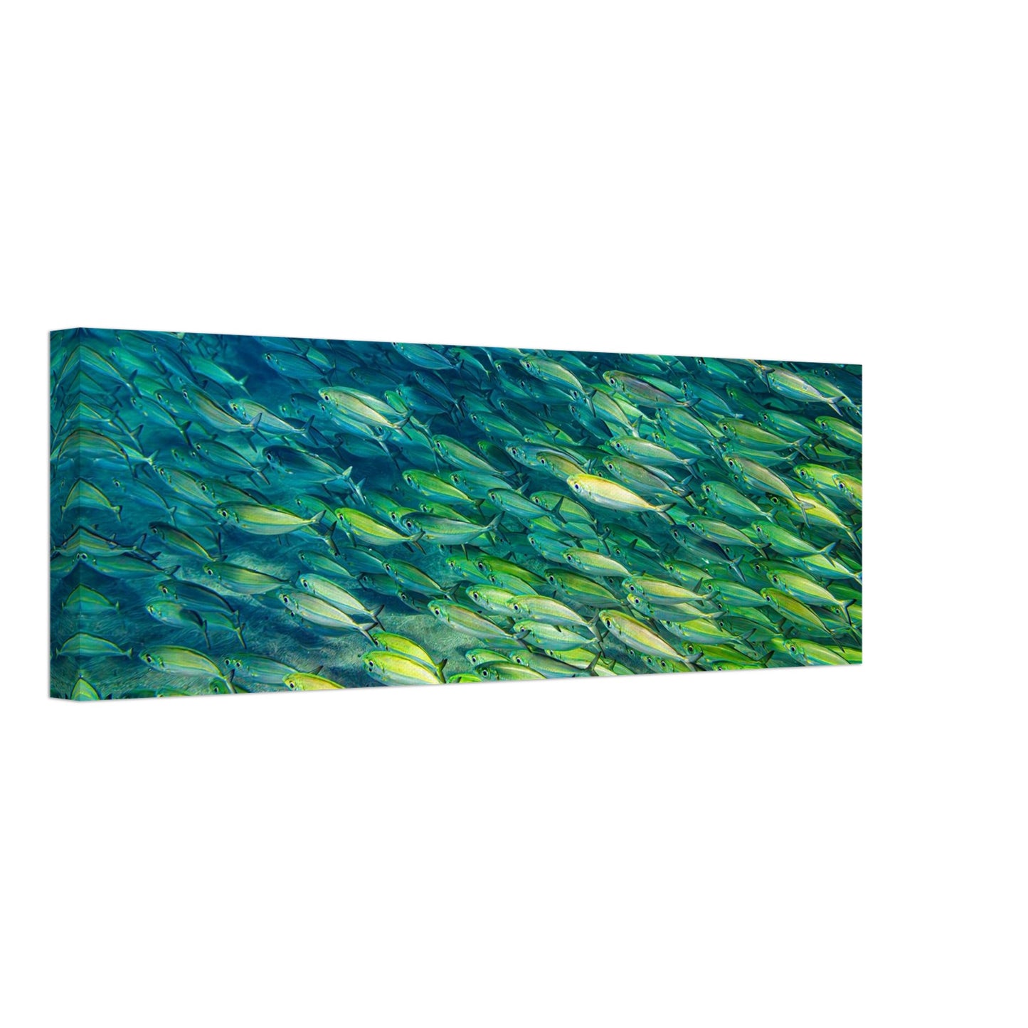 217a7f92-a8bc-4bac-93ec-d4af2e82ea0d