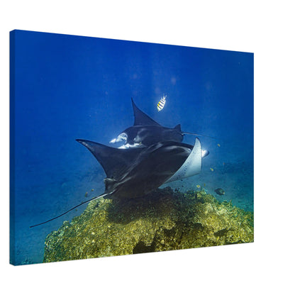 21cb972a-aa9c-44de-b8ed-517921249ade