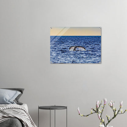 2298d74b-1575-43e6-8ab0-107b925790ee