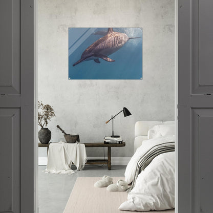 2a58f89c-e93a-447d-bd68-955c196b13bd