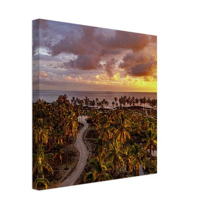 2c24b7bc-8b69-4ebb-84c4-6cd1e92e8cb0