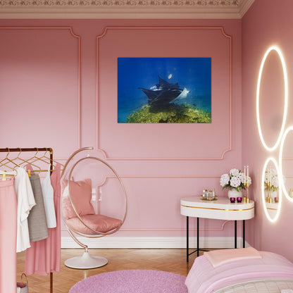 2c90f10e-1713-42b1-9594-669693170e74