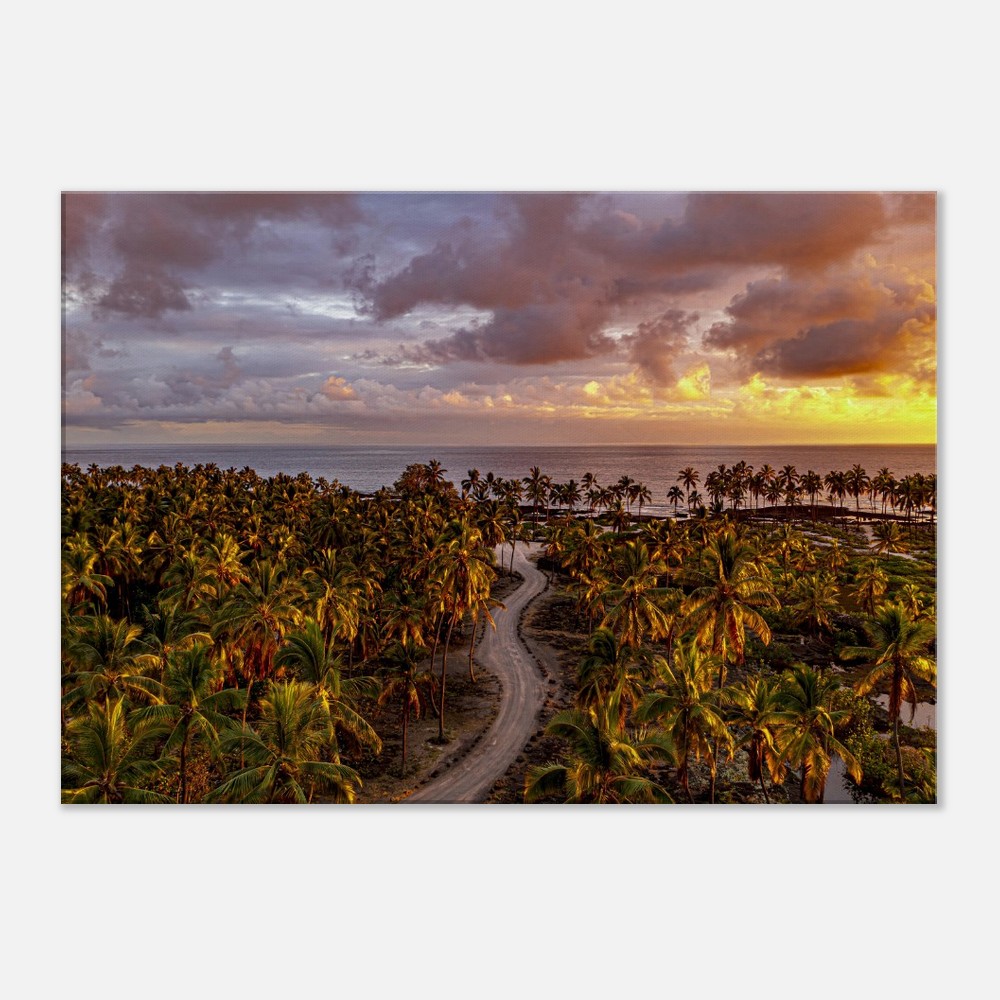 2f9cffbe-f0ee-40c4-aa97-7e1b126d4775