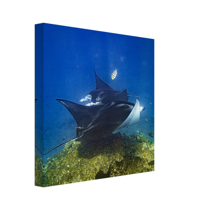 3076ff60-bae6-495d-986f-be18333070cf