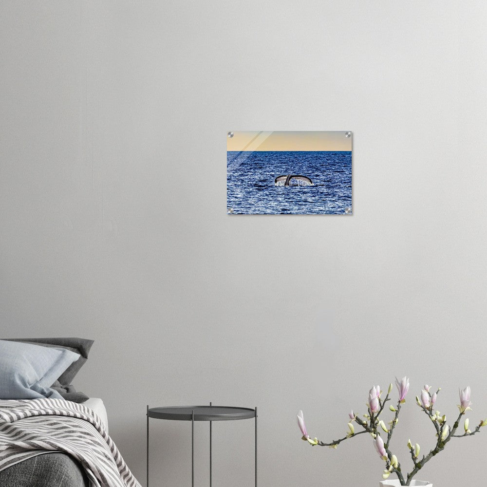 3092fbb5-fd0c-499d-a994-b1a353aa1566