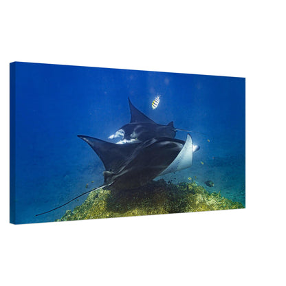 316cbfb4-e202-4331-b8f8-abc4495847a8