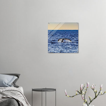 31eb4791-a1b5-47cb-926d-928526a463b5