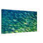 33f45ed1-93e3-4620-a0f2-5bddd33e096a