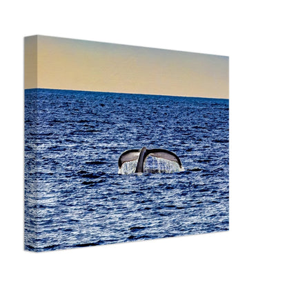 34d16e27-8515-4b56-8144-ee026402a218