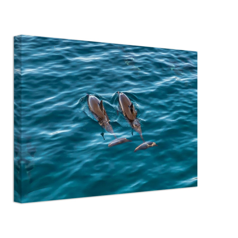 37a01004-a737-43e8-9ce3-8d2478efaafb