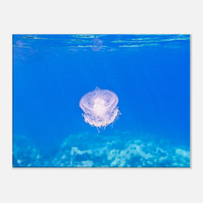3a06316d-3622-416e-a9ec-1d09fe7e5857