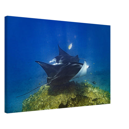 3ad035a9-94e7-44f7-9bce-931bdf83b655