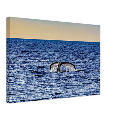 3c69e3de-30d3-4037-ac97-2d1ef3ed0cf6