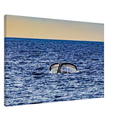 3d0a9946-3223-4e0e-99be-9a0169a613a8