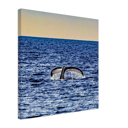 3e4e002d-5337-4b1a-a5a1-ffd195662ef8