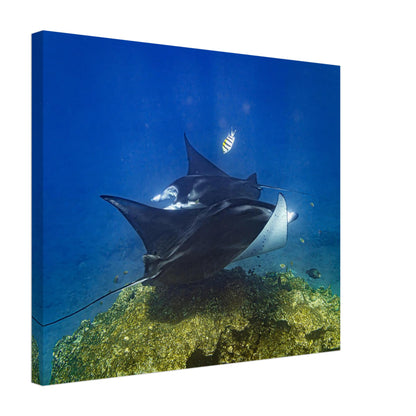 3f66c07c-886d-454b-8fc8-a35d4f2c7204