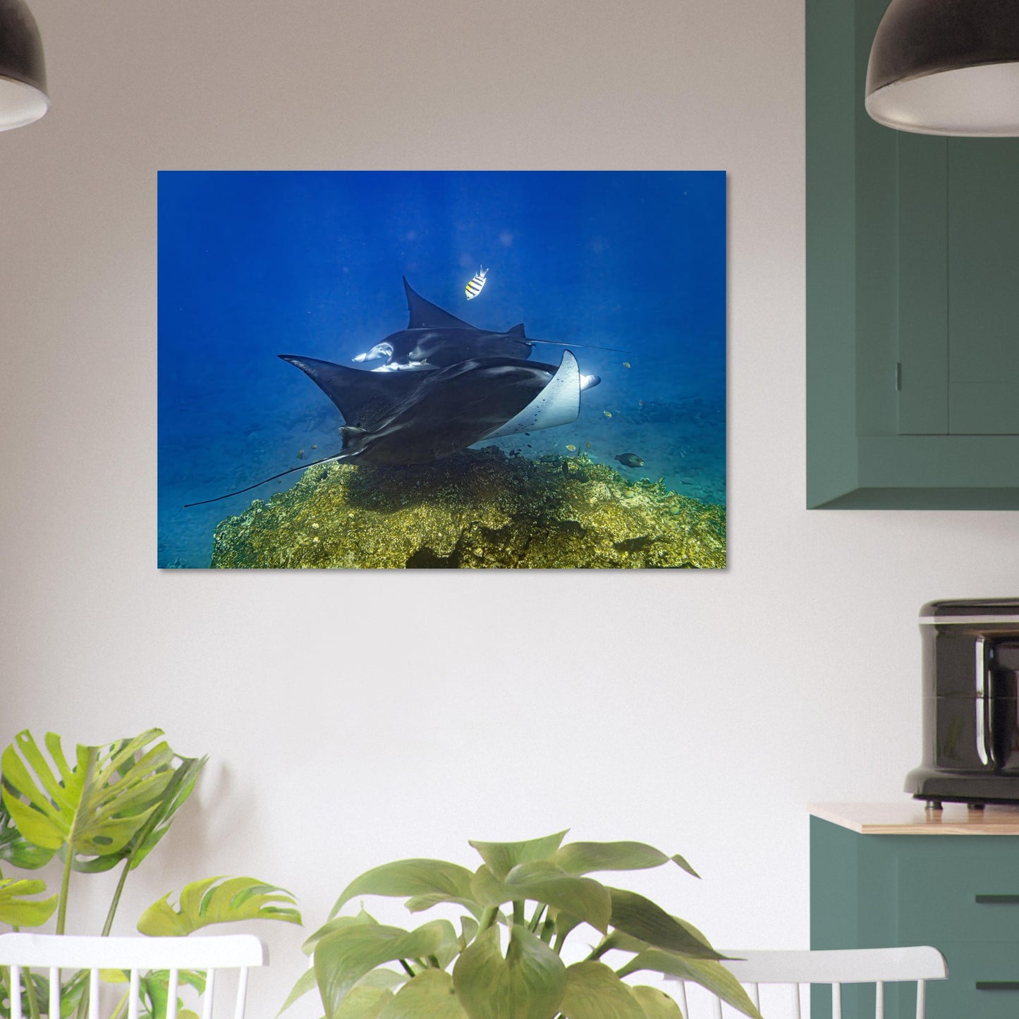 43048391-e782-474b-9fe4-912c000e7c89