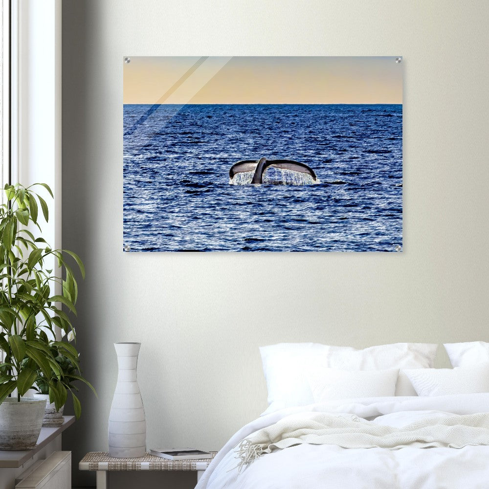 43477e4b-c014-4c8f-87e4-2454d69b4cec