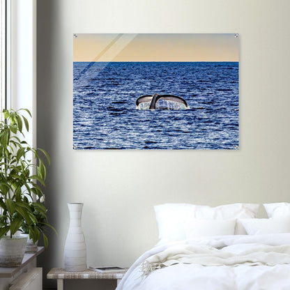 43477e4b-c014-4c8f-87e4-2454d69b4cec