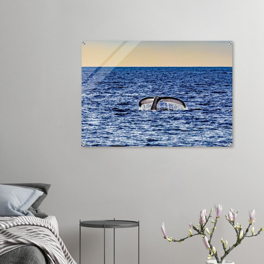 44269f5b-0b99-4b35-a922-3bb34a72ec37