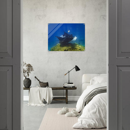 442ec0a3-1382-4a5f-896c-76bfd15cdb20