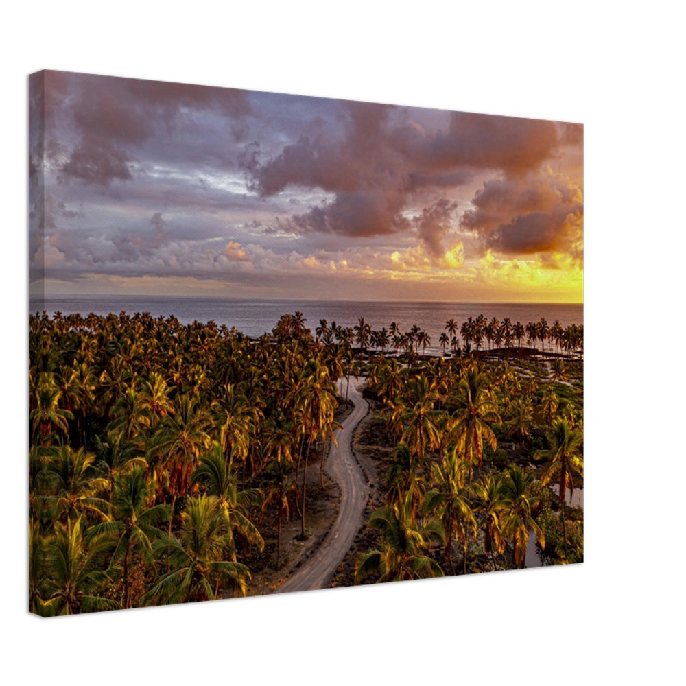 448f382e-3940-4c75-9c69-75102d26f298