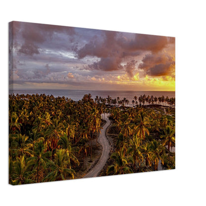 448f382e-3940-4c75-9c69-75102d26f298