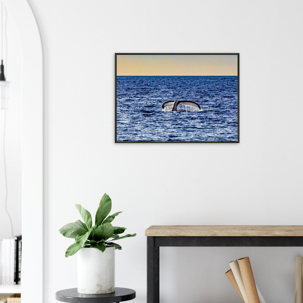 4591d887-f947-4500-863e-87581e783990