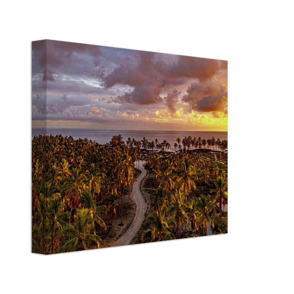 45f7a794-d9bb-41ec-98a8-b74547eeabe6