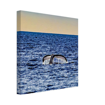 46b9439e-6f39-429f-b8bf-15b2b4ca8774