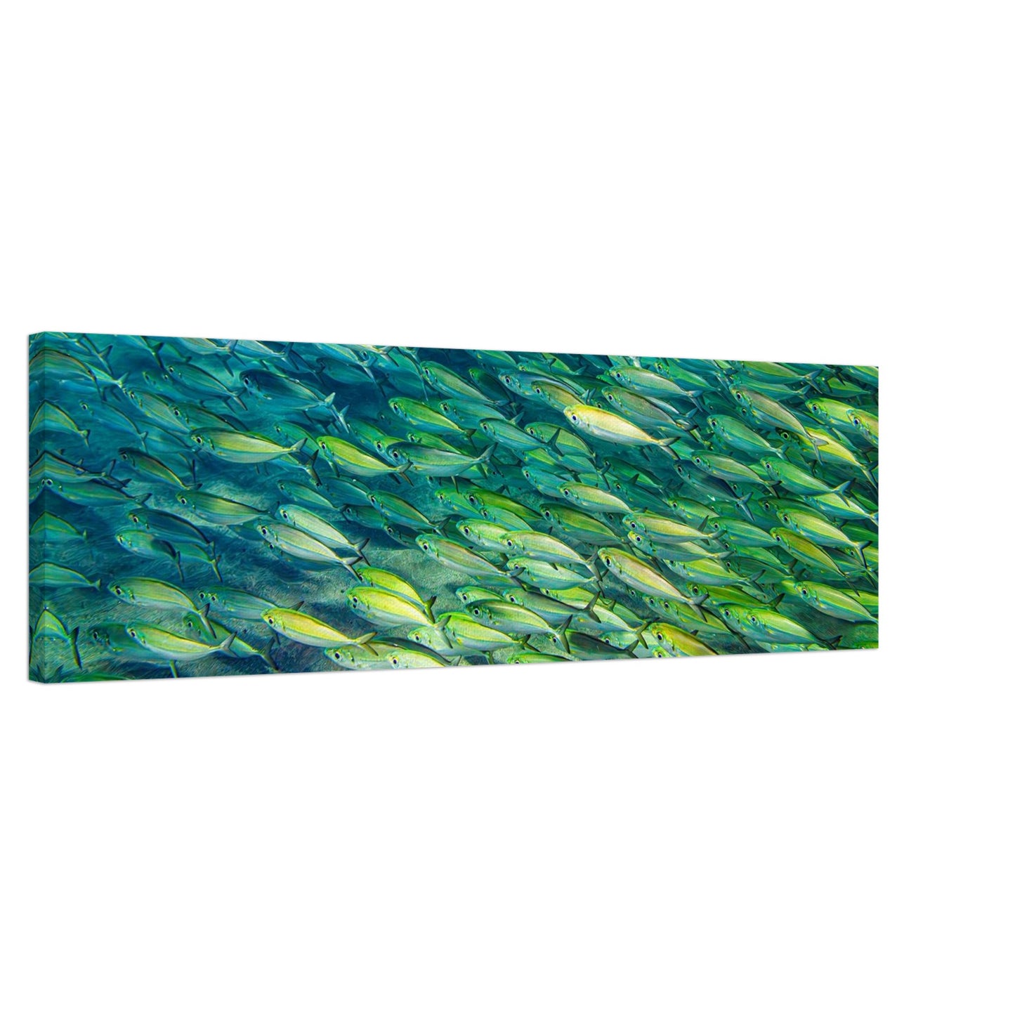 46c92b41-2265-46dd-ae4e-2922e9834cea