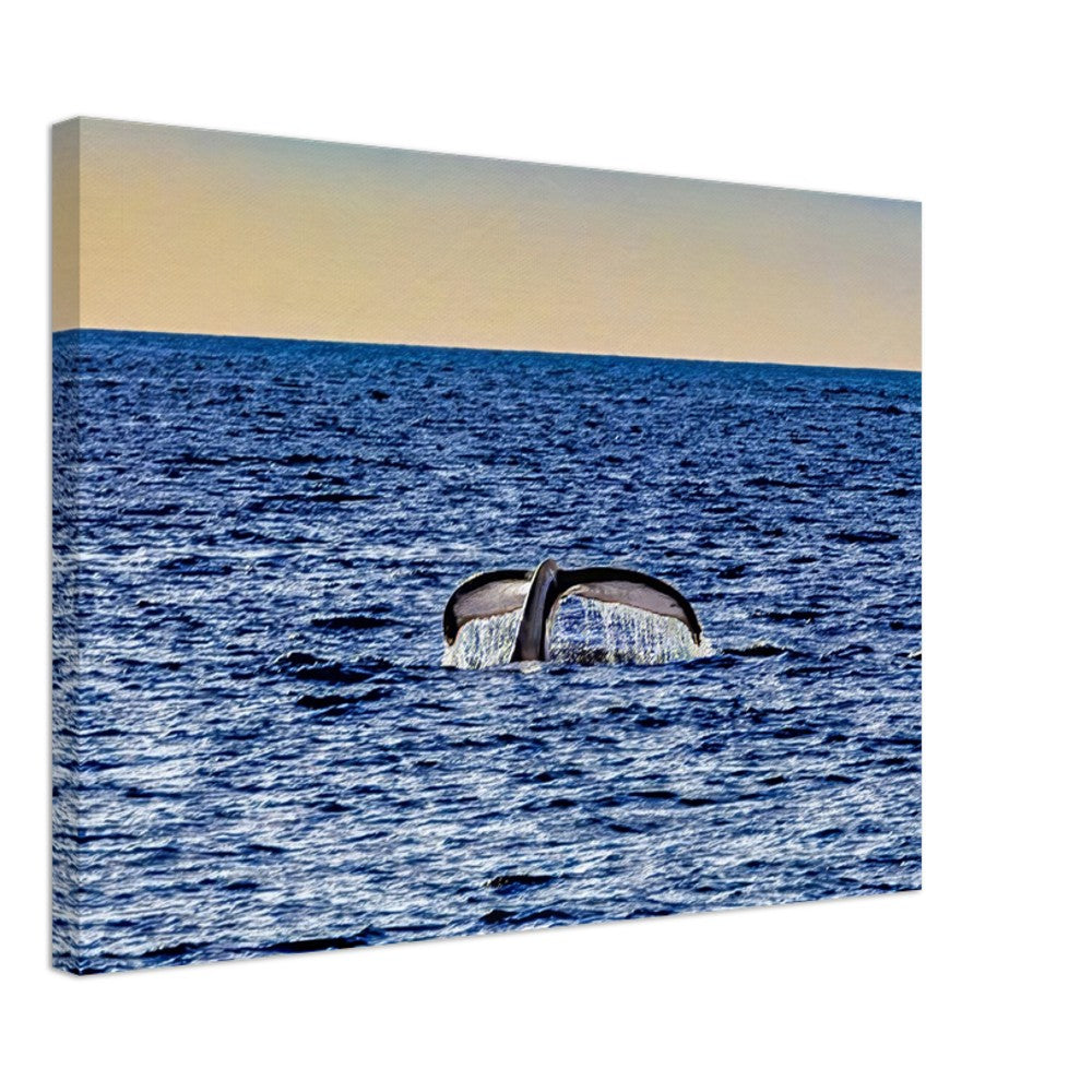 46f86e5c-bd89-47e7-b156-c5ac2f08328b