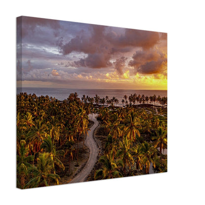 495bc672-0068-4022-af4b-3b0174a4f8af